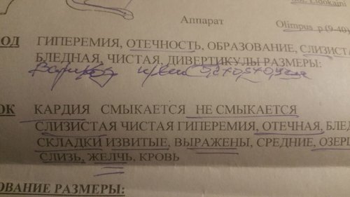 вв2.jpg