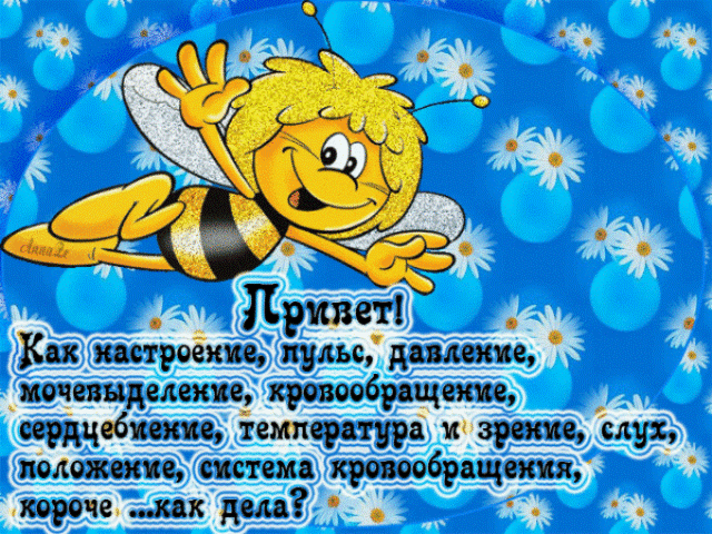 74573242_3a08aad15687.gif
