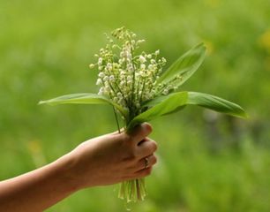 d5aa5733dd_600.jpg