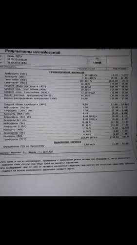 IMG-20181115-WA0019.jpg