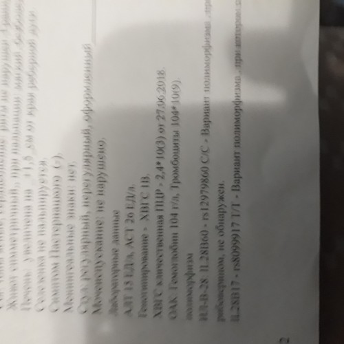 15442501171492429139039964453217.jpg