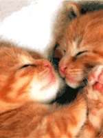 632966247.gif