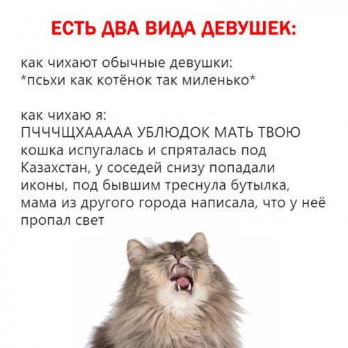 nDidm7I6S3g.jpg
