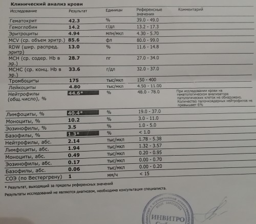 Mcv mch повышены