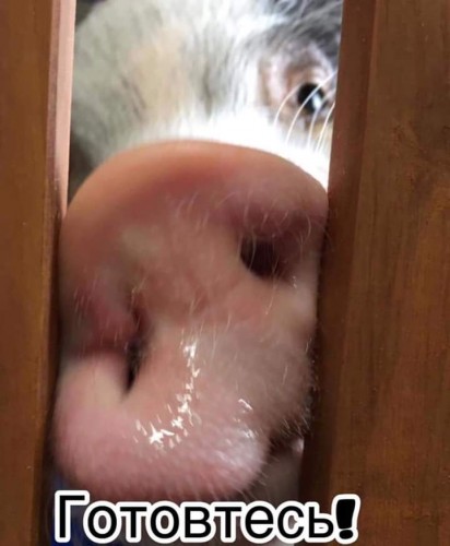URZpWcRWDFs.jpg