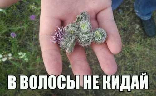 19P_-TSmHFc.jpg
