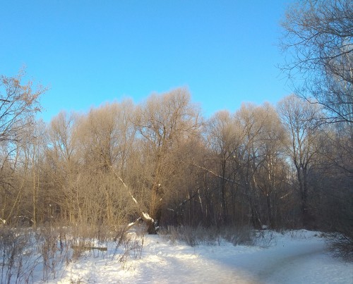 IMG_20190124_105018.jpg