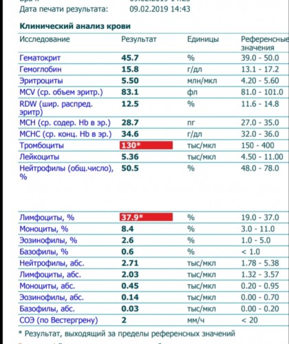 20190209_155609.jpg