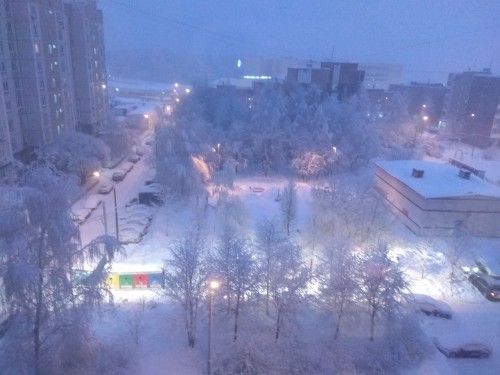 IMG_20190213_073556.jpg