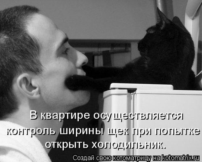 1281866554_kotomatrix_01.jpg