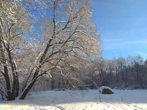 IMG_20190214_102747.jpg