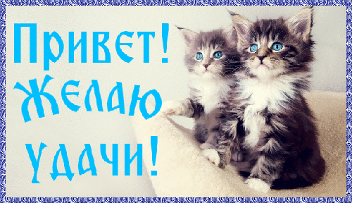 754903058.gif