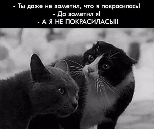 DCB3C37D-40AE-4167-9A8A-476F739B9FF1.jpeg