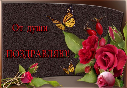 107213247_getImage__16_.jpg