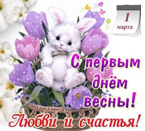 IMG_20190301_115935.jpg
