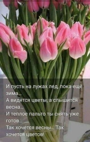IMG-20190301-WA0000.jpg