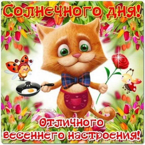 d8b9b48acdb92abd8a981b108f073c7c.jpg