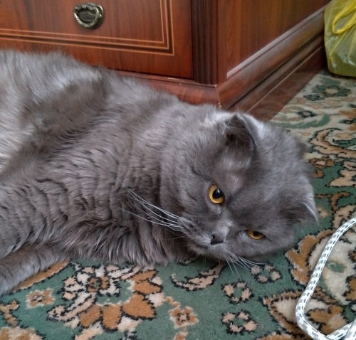 P_20190306_131750_vHDR_Auto_1.jpg