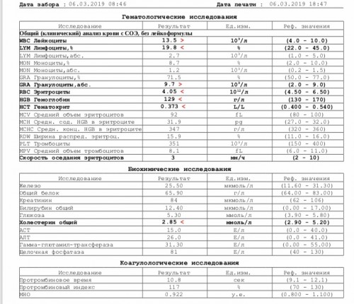 AEAD3B86-5647-4EAA-819B-ECBA5CB40807.jpeg