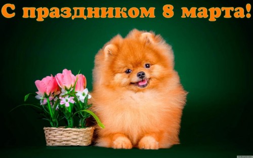 Открытка с праздником 8 марта.jpg