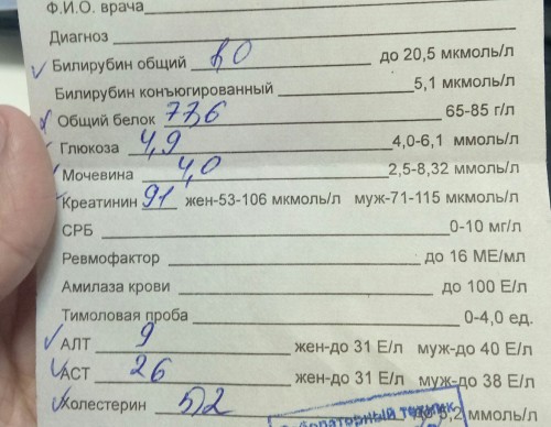 2019310_1774319.jpg