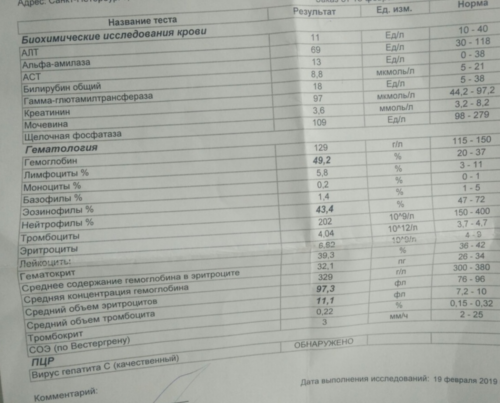 Без названия.png