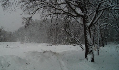 03131032_9373.JPG