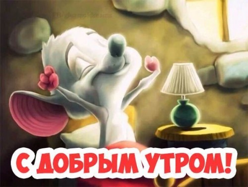 image.jpeg