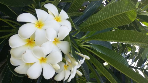 20190227_100050.jpg