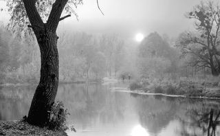 IMGP4260-11800-1.jpg