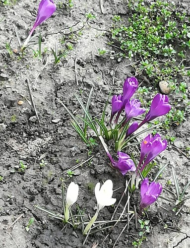 IMG_20190322_083558.jpg