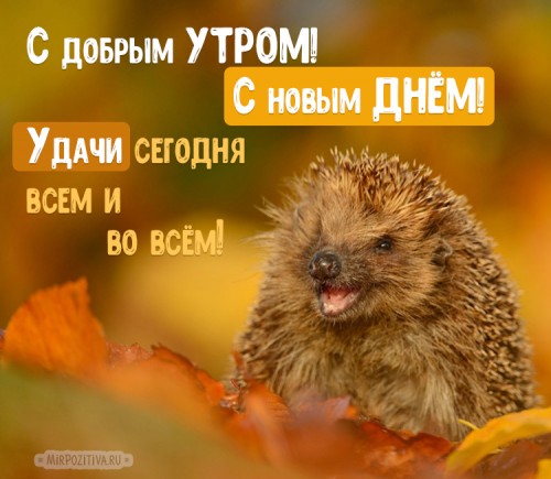image.jpeg