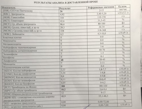 11846750-3266-4696-ACB1-42D3F899264D.jpeg