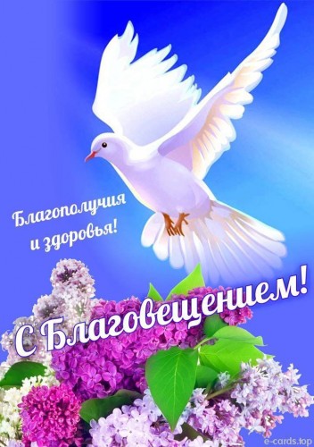 IMG-20190407-WA0025.jpg