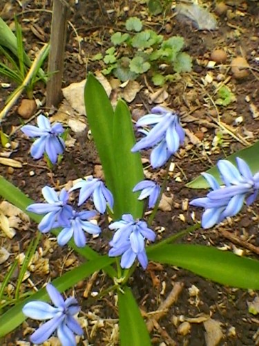 SP_A5409.jpg