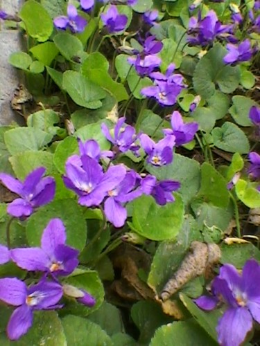 SP_A5406.jpg