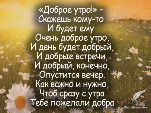 image-7.jpg