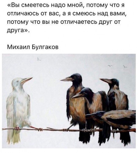 A5666817-2A6D-4FA7-85BB-DC8589905FBA.jpeg