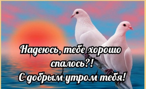 1554953012.jpg