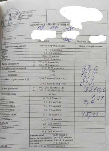 IMG_20190411_105557_1.jpg