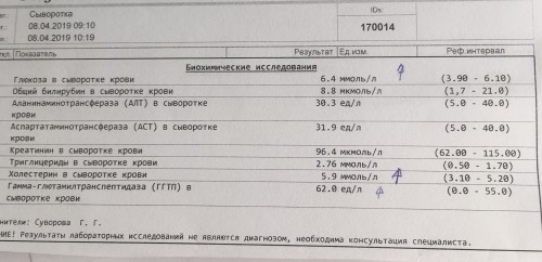 031D6176-D360-4E2F-BAD1-03DF6E04DAB4.jpeg