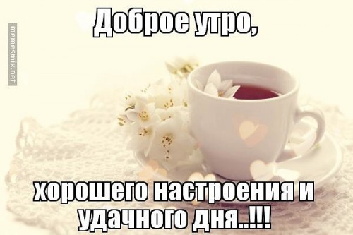 1554991207.jpg