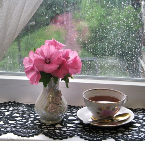 image (8).jpg