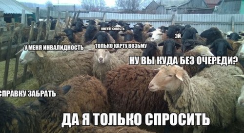 image (6).jpg