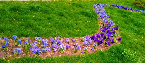 IMG_20190417_171550-EFFECTS_1.jpg