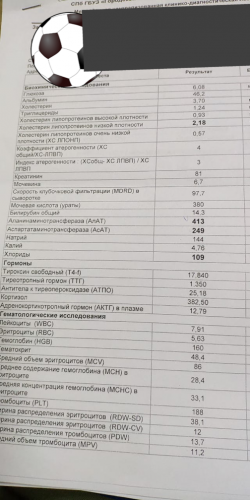 AA848ECD-FD67-4892-9CFF-0A050C8C94E8.png