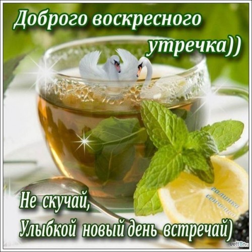 1555267048.jpg