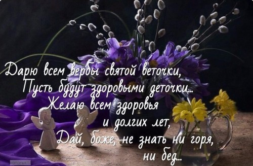 IMG-20190421-WA0004.jpg