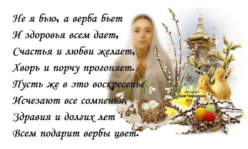 image (1).jpeg