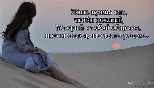 303133.jpg